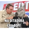 BOZOBURRO 7