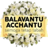 BALAVANTU ACCHANTU semoga tetap tabah