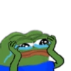 Sapo pepe 6