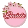 Satide