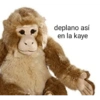 deplano así en la kaye