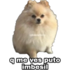 @baewhorx q me ves puto imbesil