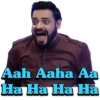 Memes Collection 22