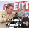 BOZOBURRO 5