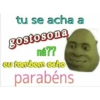 Figurinhas que vc precisa ter 5