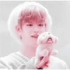 Stray kids soft 23