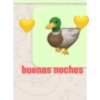 El pato de WhatsApp 6