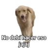 No debí hacer eso jajaj