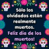 💀Dia De Los Muertos Frases🕯💐 9