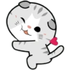 Mochi & cats 😻 5