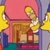 Homer simpson 5