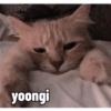 Wtf bts 6