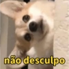 Cachorrinhos sinceros 🐶🌝 8
