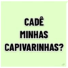 BALÃO DO ZAP DEBOCHADO 💬 7