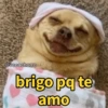 Cachorrinhos sinceros 🐶🌝 9