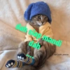 Kucing imoet 7