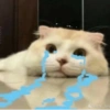 Sad sad @japkor__98 25