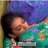 MEMES POCAH BBB21 9