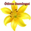 Ótimo Domingo!