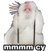 mmmm cy