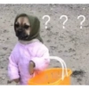 Reacciones perrunas 15