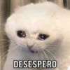 EU VOU SURTAR 8