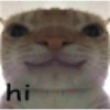 Aaaa 5