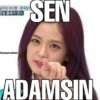 금주의 아이돌 - 블랙핑 연덤 플레이 댄스 kpopmodum SEN ADAMSIN