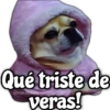 Memes de Perros 2🐶😂 14