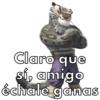 Claro que sí, amigo échale ganas