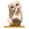 Gatitos Ocurrencias. 18