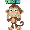 Monkey 14