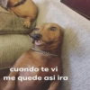 cuando te vi
me quede asi ira