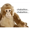 chabalitos... chabalitos...