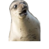 Sei lá o que é isso!️️ 11