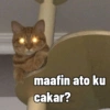 maafin ato ku
cakar?
