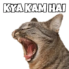 Cats Meme 15