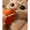 Michis tiernos hechos de amor 14