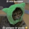 Si ves borroso
Es porque te gusto