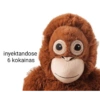 inyektandose 6 kokainas
