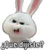 ¿Que dijiste?