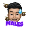 MEMOJI 27