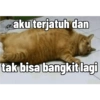aku terjatuh dan
tak bisa bangkit lagi