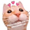 Gatos tiernos #1 12