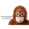 biba las drogas y el rokanrol