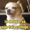 Humor e memes 😂 15