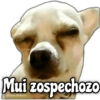 Memes de Perros 2🐶😂 6