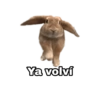 Ya volví