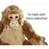 no lupe yani kiero eskuchar