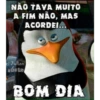 Bom dia engraçado 9